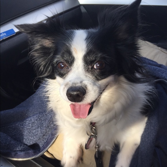 Meet your Posher,  @cutiee23 - Picture 7 of 7